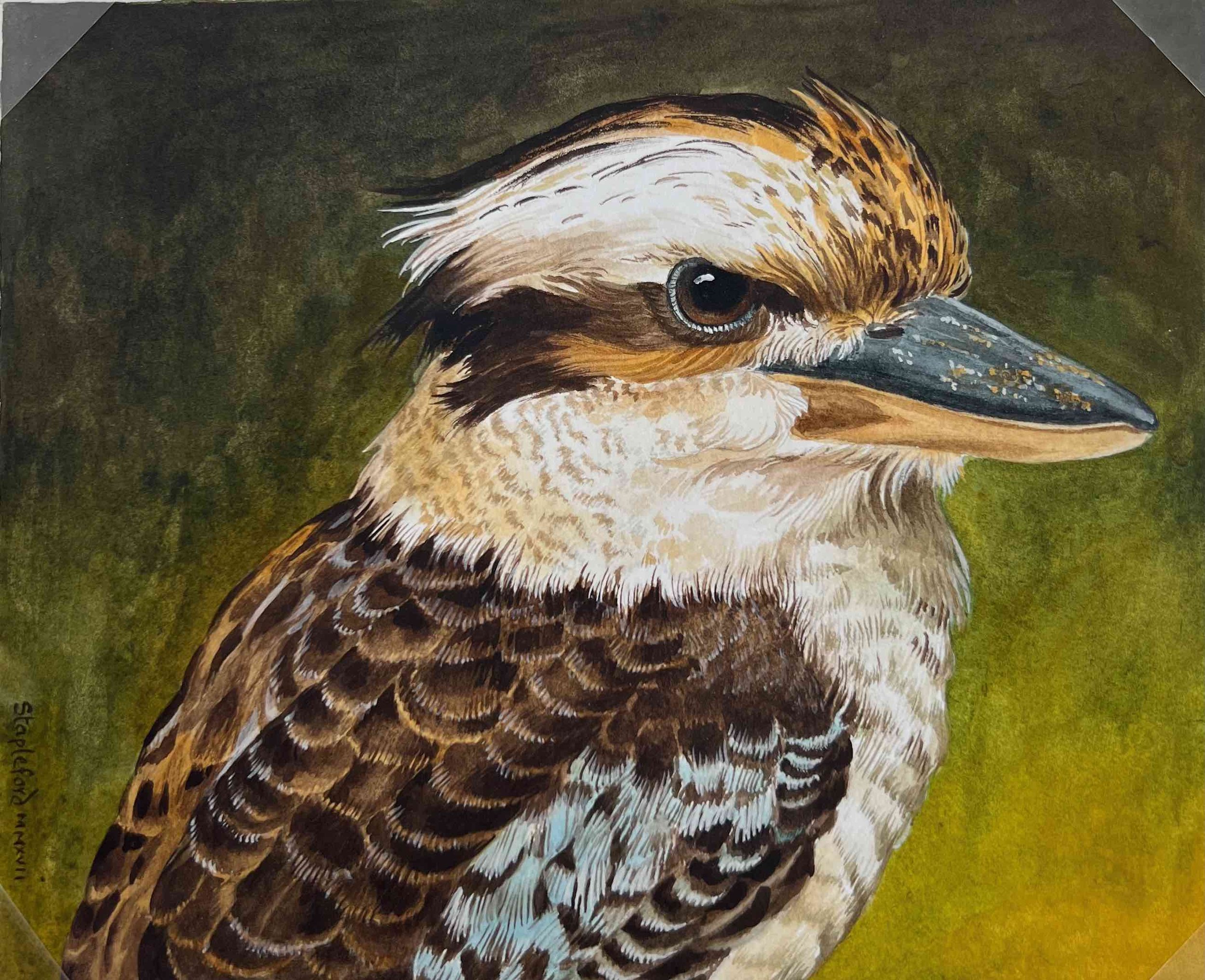 Jane Stapleford | Kookaburra on Green — Day Gallery